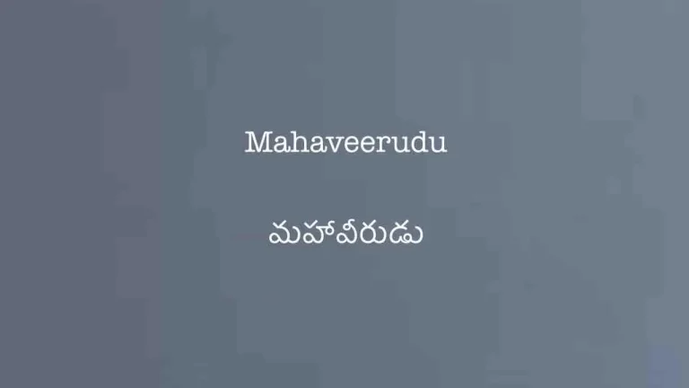 Mahaveerudu